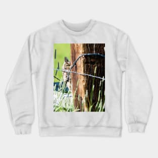 Peekaboo Great Horned Owl Crewneck Sweatshirt